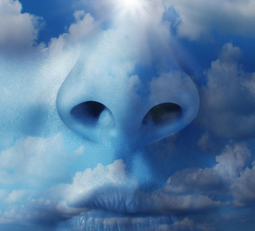 air-quality-testing