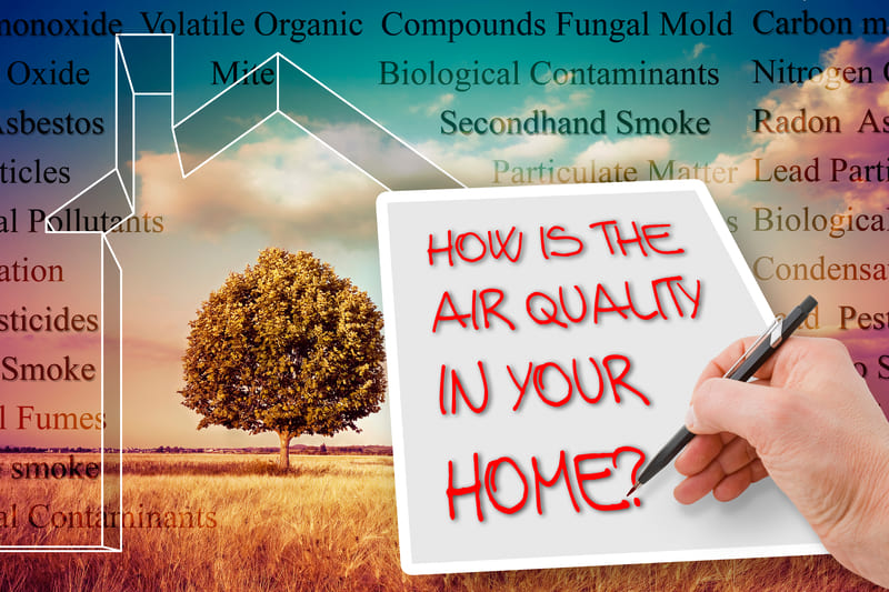 AirMD Mold Testing