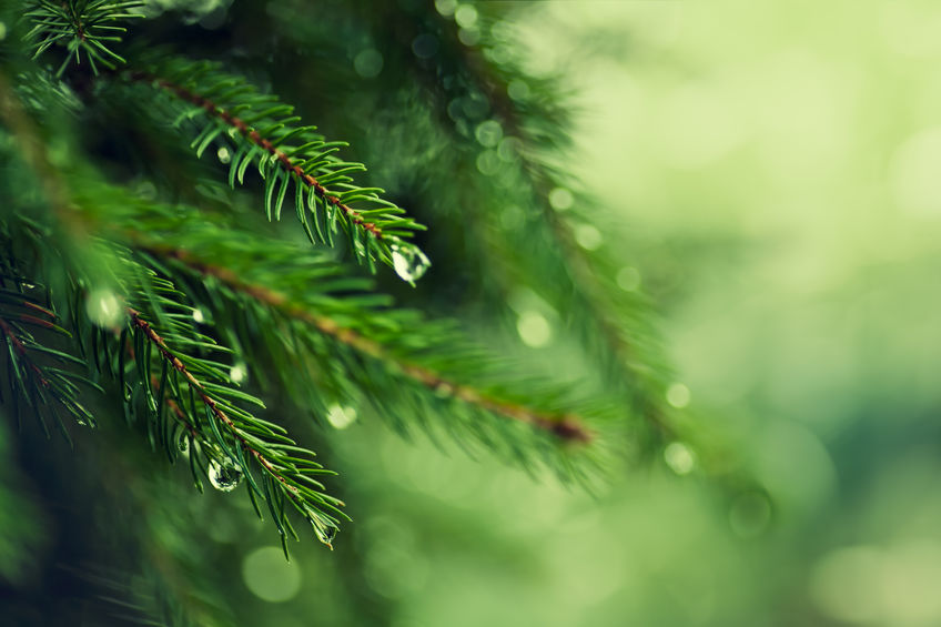 environmental testing company