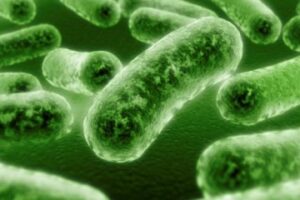 EPA’s Report on the Environment highlights the need for mold, asbestos and VOC testing