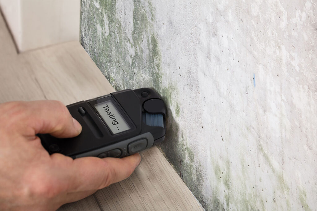 mold-testing