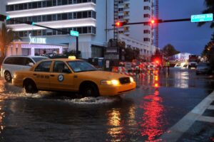 Predictions for hurricane season include the need for mold testing