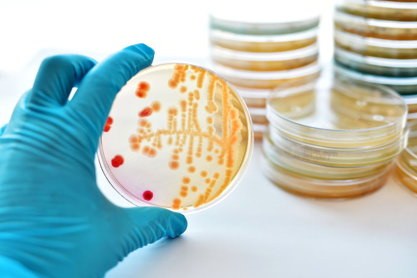 Science and Creativity Go Hand in Hand, indoor air quality assessments