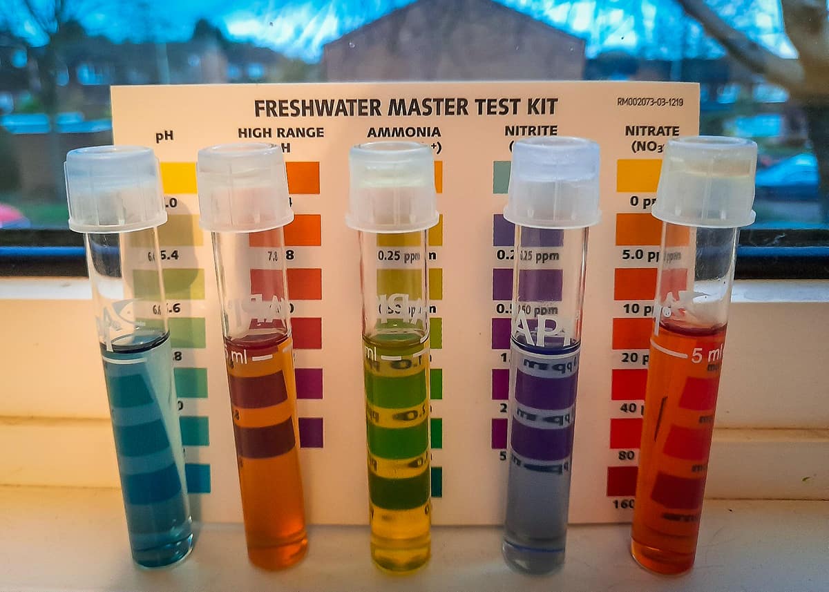 water testing kit